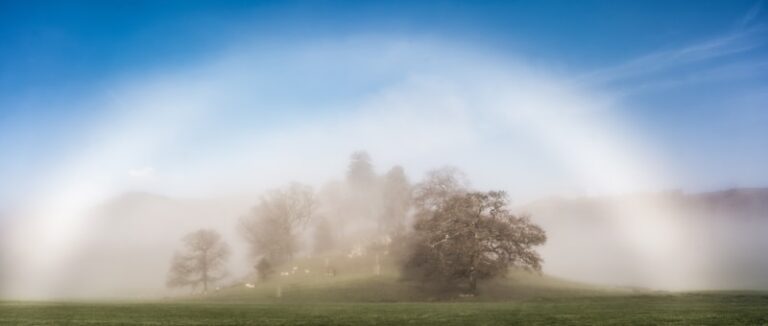 Visual Perception: Understanding the Fog of Cataracts
