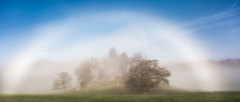 Visual Perception: Understanding the Fog of Cataracts