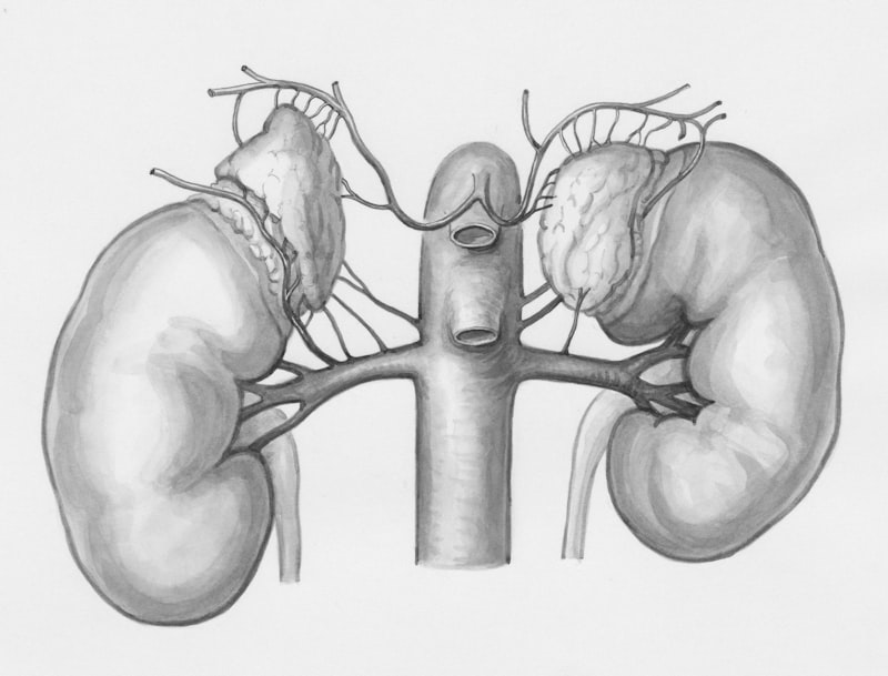 Aconuresis: Understanding Involuntary Bladder Control