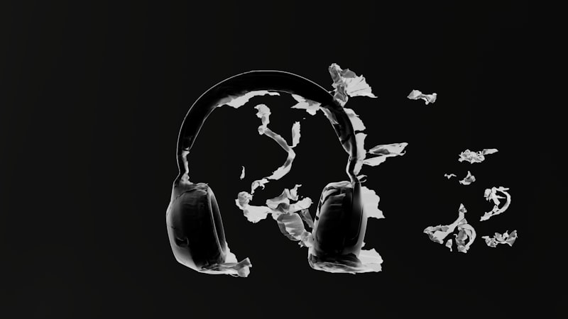 Air Conduction: How We Perceive the World of Sound