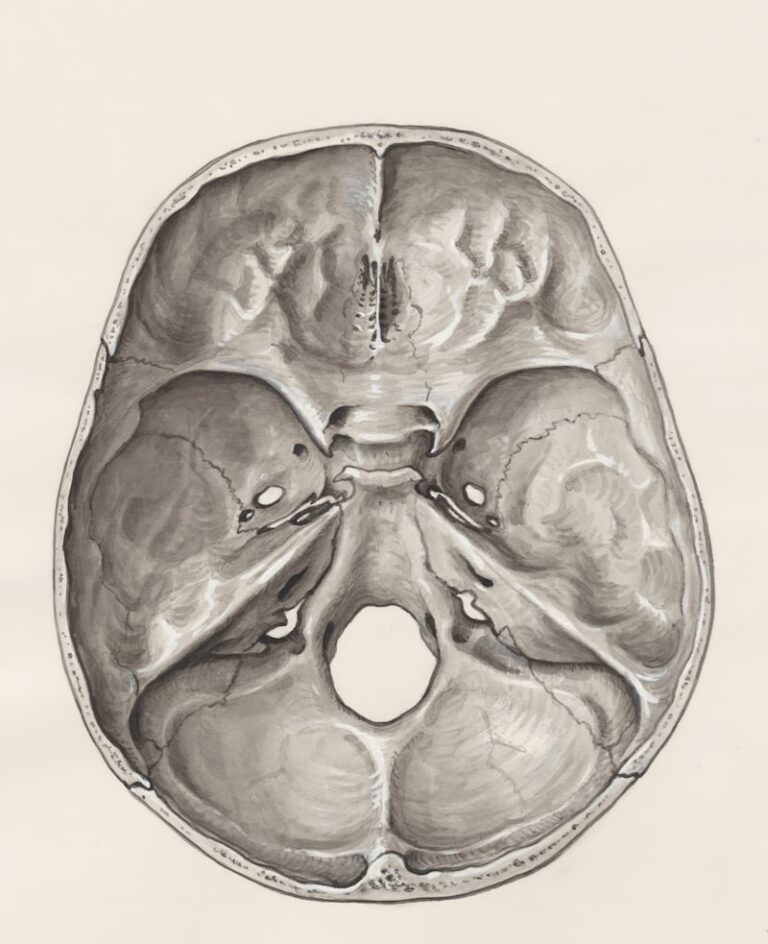AMOPD: Understanding the Diagnostic Gray Areas