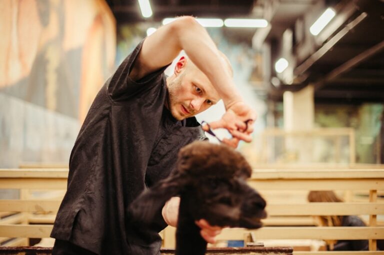Animal Grooming: The Psychology Behind Self-Care Rituals