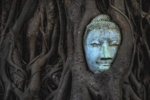 Archicortex: Unlocking the Ancient Roots of Human Emotion