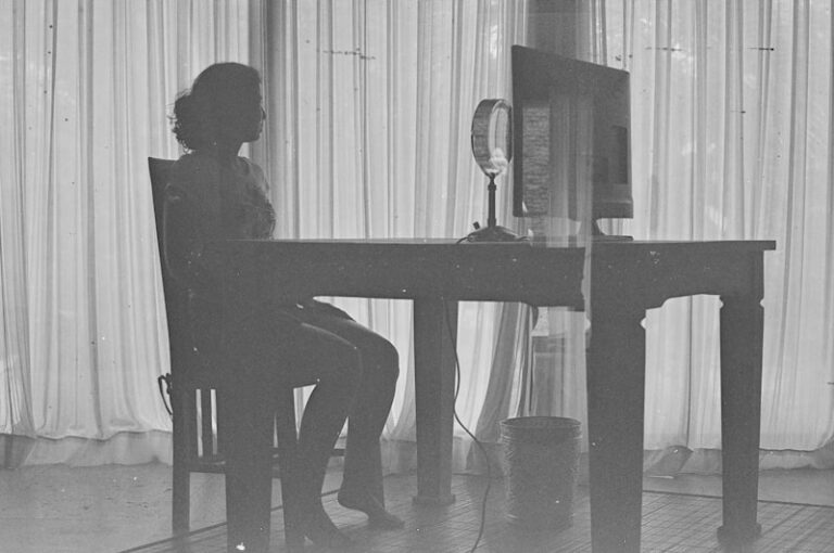 Commercial Sex Work: The Psychology of Remote Encounters