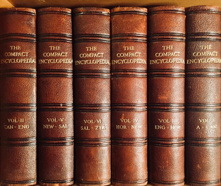 Counseling History: The Evolution of Professional Identity