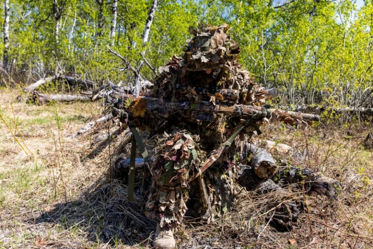 Countershading: The Psychology of Biological Camouflage