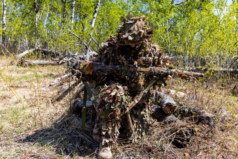 Countershading: The Psychology of Biological Camouflage