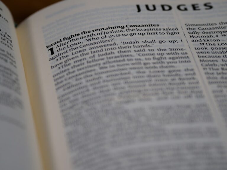 Covariation Principle: Decoding How We Judge Others