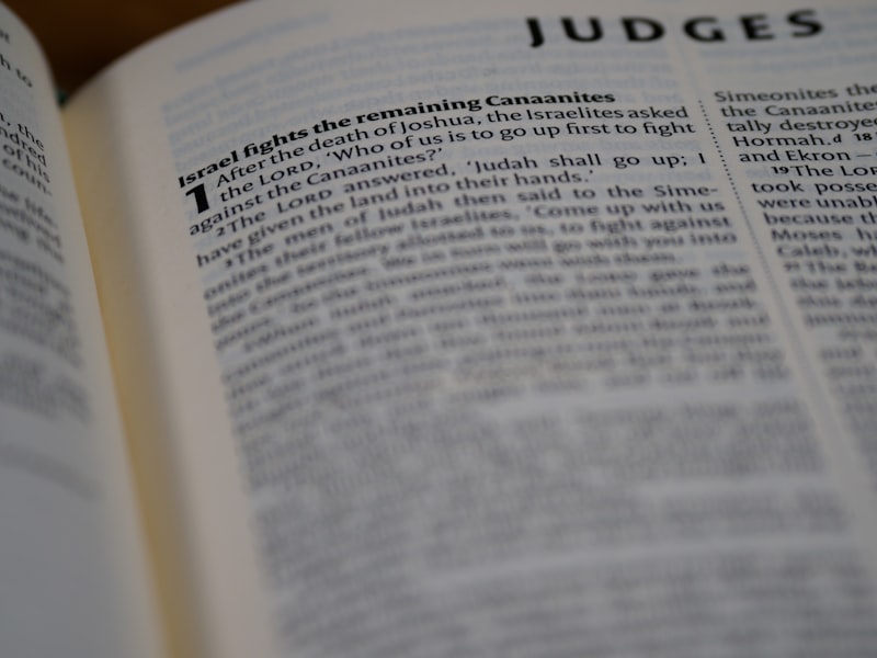 Covariation Principle: Decoding How We Judge Others
