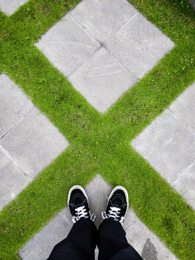 Cross-Sectional Design: A Snapshot of Human Behavior