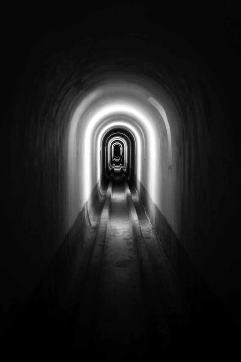 Dark Light: Seeing Beyond the Visual Void