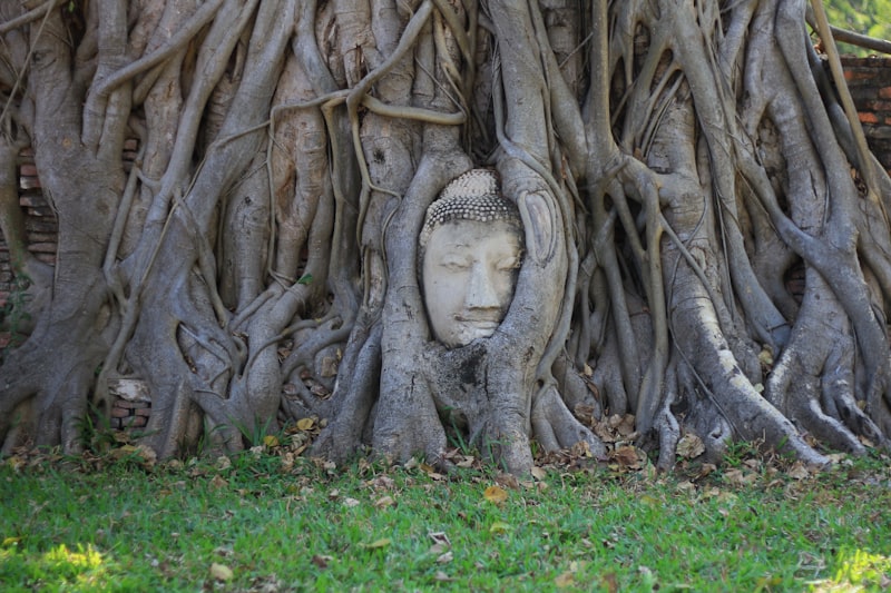 Degenerative Status: Unmasking the Roots of Human Deviation
