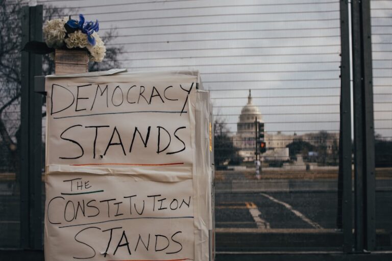 Democratic Atmosphere: Fostering Collective Well-being