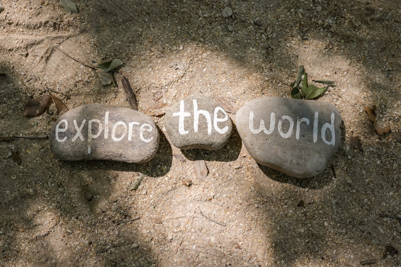 External Reality: Navigating the World Beyond the Mind