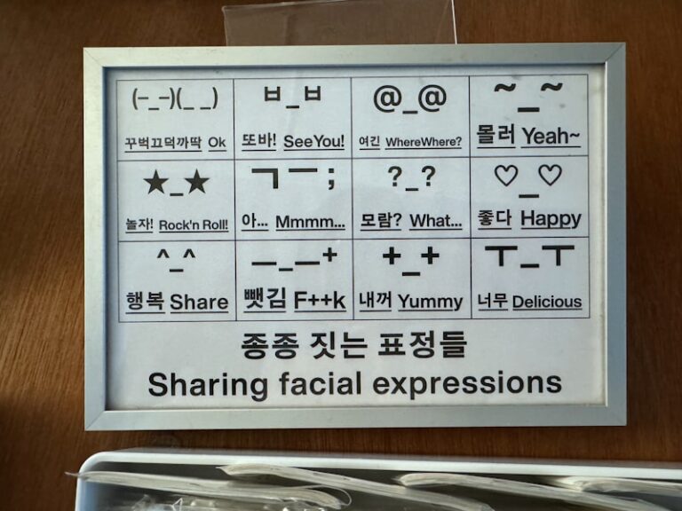 Facial-Affect Program: Decoding Your Hidden Expressions