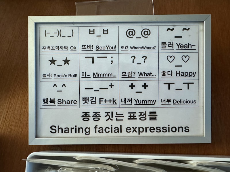 Facial-Affect Program: Decoding Your Hidden Expressions