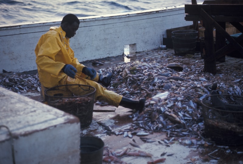 Fisherian Runaway: Why Evolution Favors The Extreme