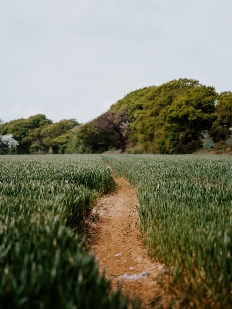 Leaving the Field: Escaping Stress to Find Your Path