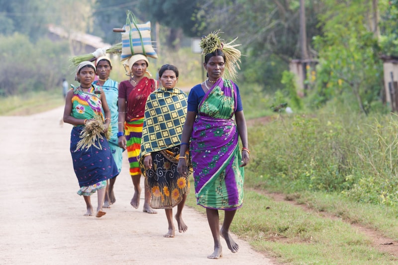 Minimal Group: Why We Naturally Divide Into Tribes