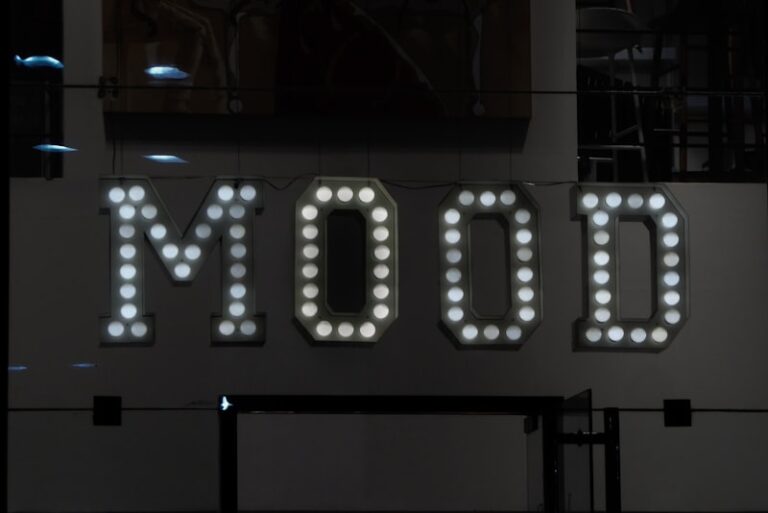 Mood-as-Information Theory: How Your Feelings Shape Logic