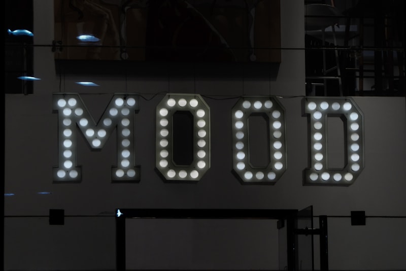 Mood-as-Information Theory: How Your Feelings Shape Logic