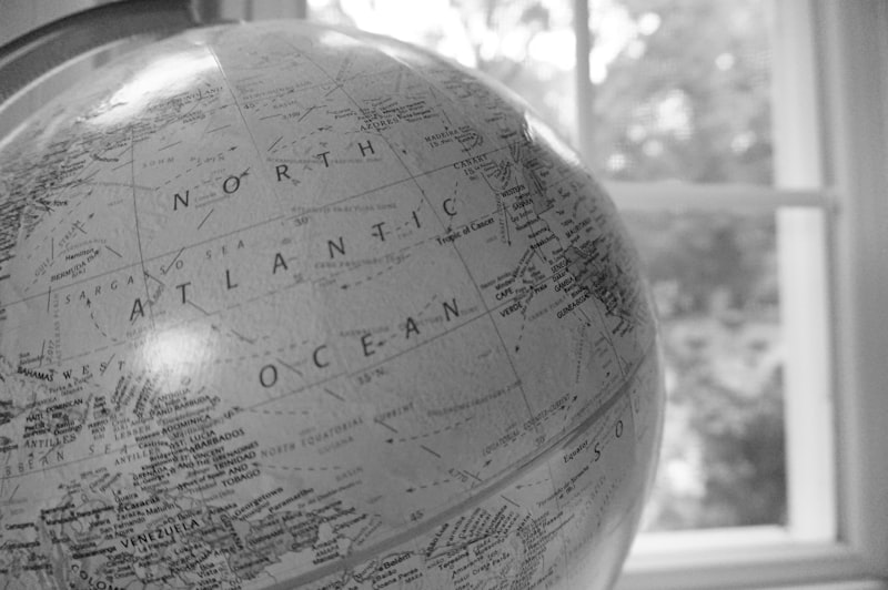 Observational Learning: How We Mirror the World Around Us
