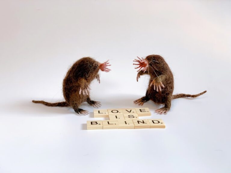 Obsessional Neurosis: Decoding Freud’s Rat Man Case Study