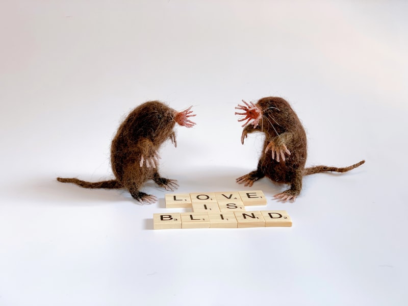 Obsessional Neurosis: Decoding Freud’s Rat Man Case Study