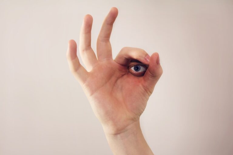 Oculomotor Control: How Eye Movements Shape Perception