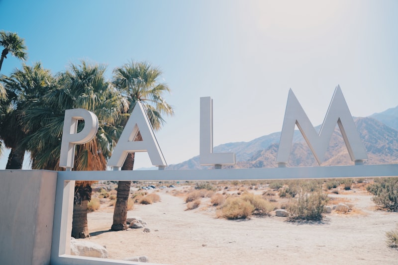 Palmar Conductance: Decoding Your Hidden Emotional State