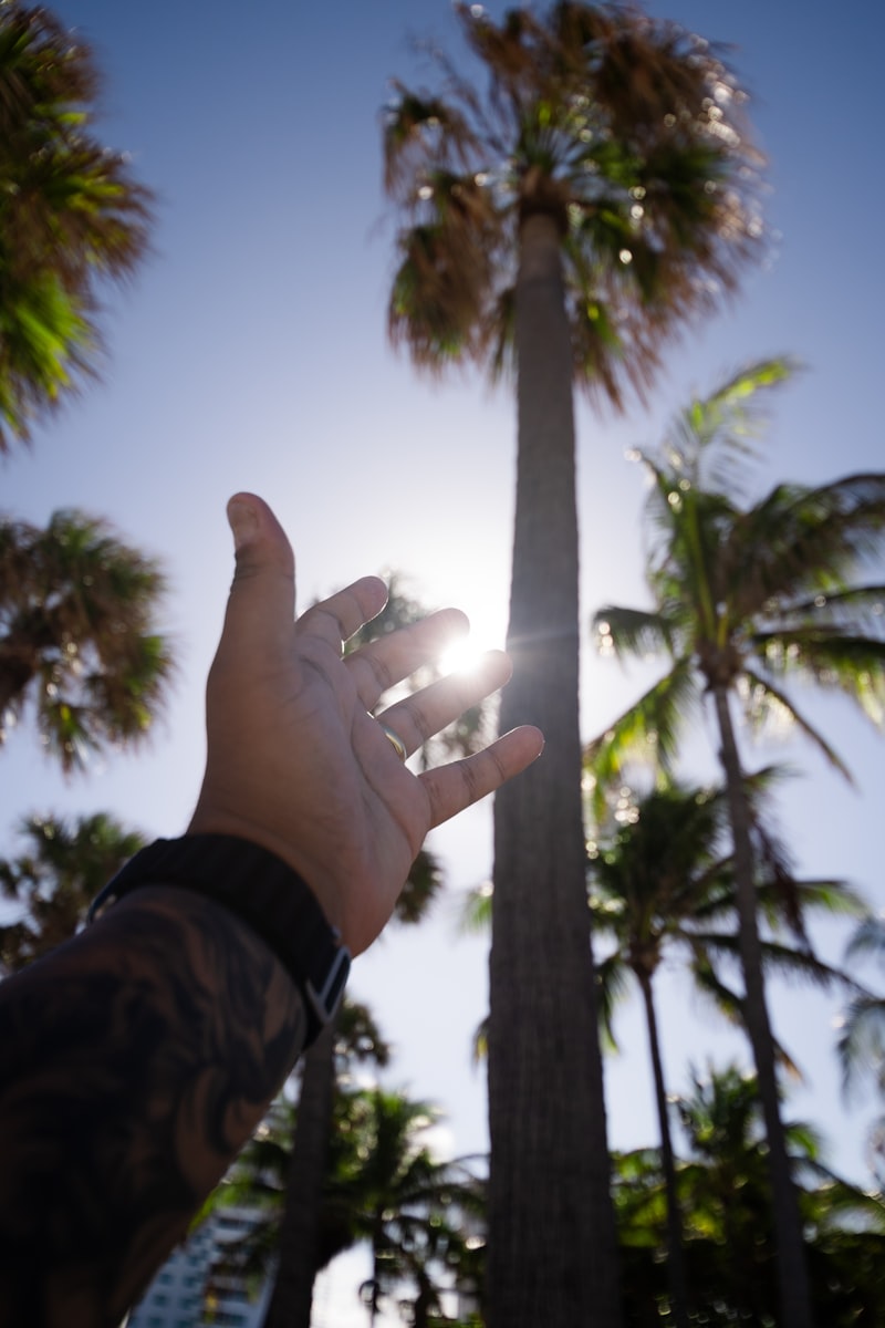 Palmar Reflex: The Primitive Instinct Behind Your Grip