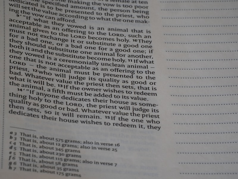 Paragraph Comprehension: Mastering Abstract Reasoning