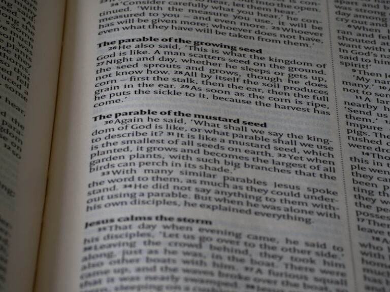 Paranoid State: Unmasking the Roots of Suspicion