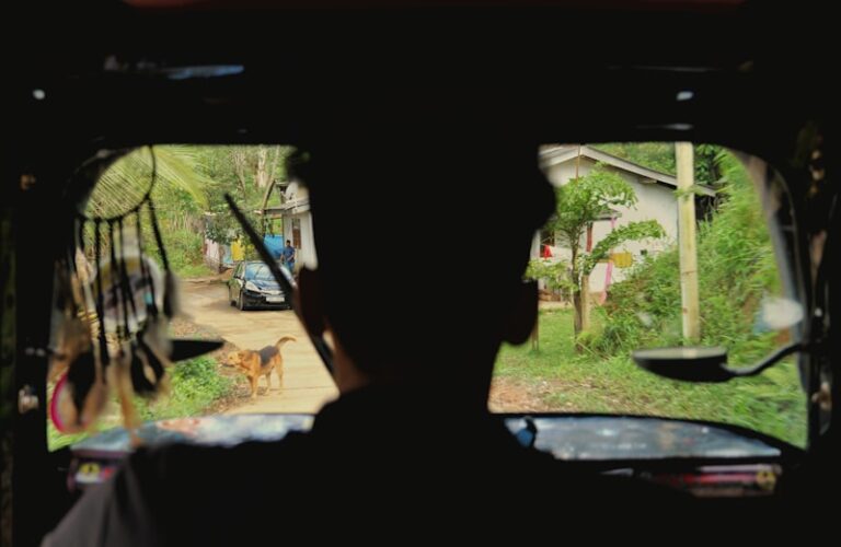 Physiological Motives: The Hidden Drivers of Human Survival