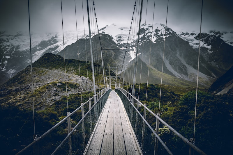 Preadolescence: Navigating the Bridge to Maturity