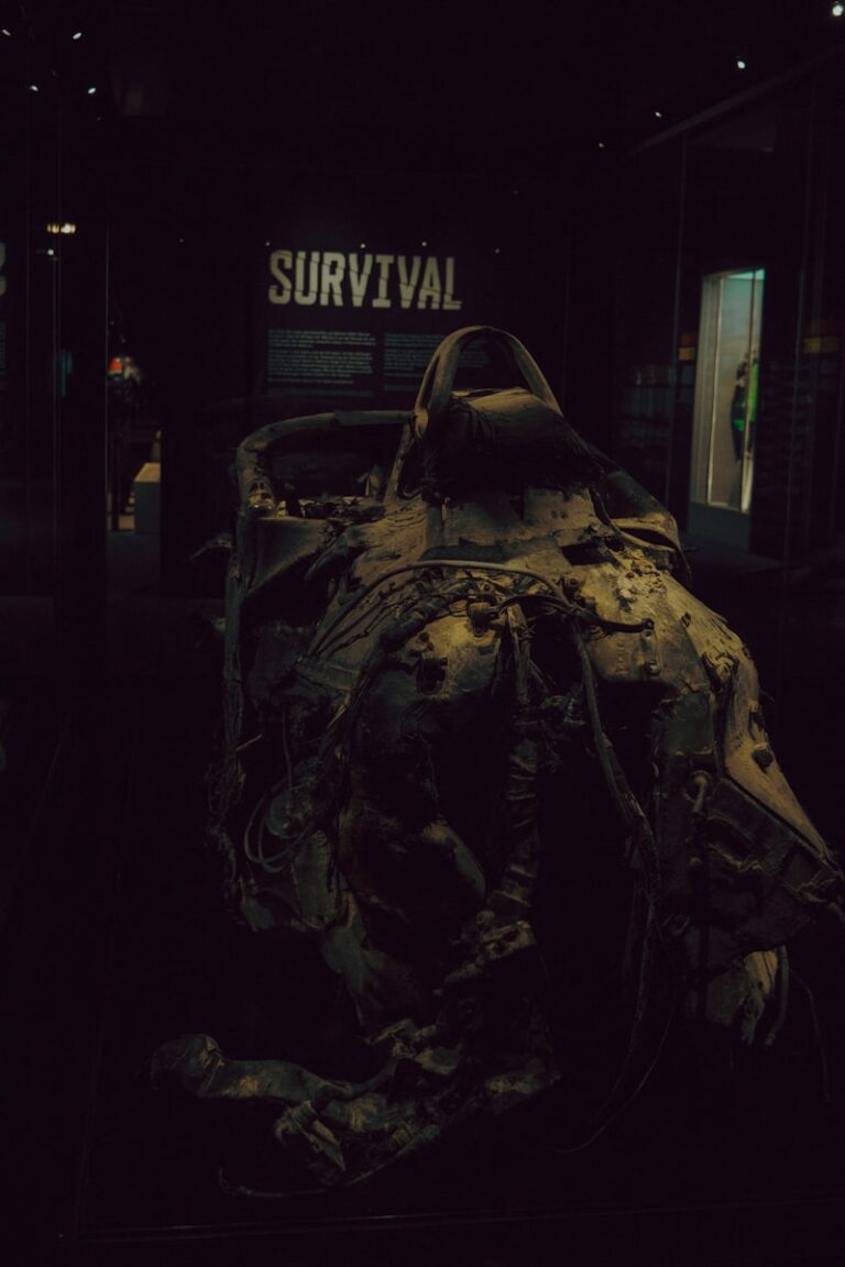 Protopathic System: The Primal Force of Human Survival