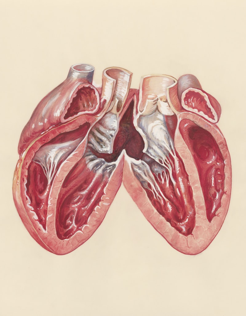 Psychosomatic Heart: The Mind-Body Connection to Inflammation