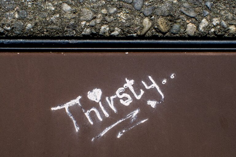 Puberty Rites: Navigating the Threshold to Adulthood