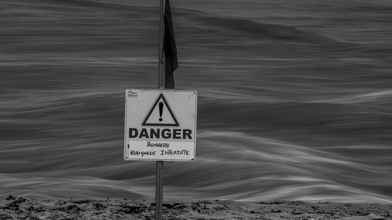 Reasoning Mania: Logic Amidst the Manic Storm