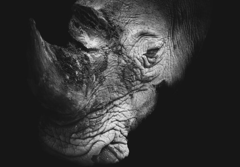 Rhinology: Uncovering the Psychology of Smell