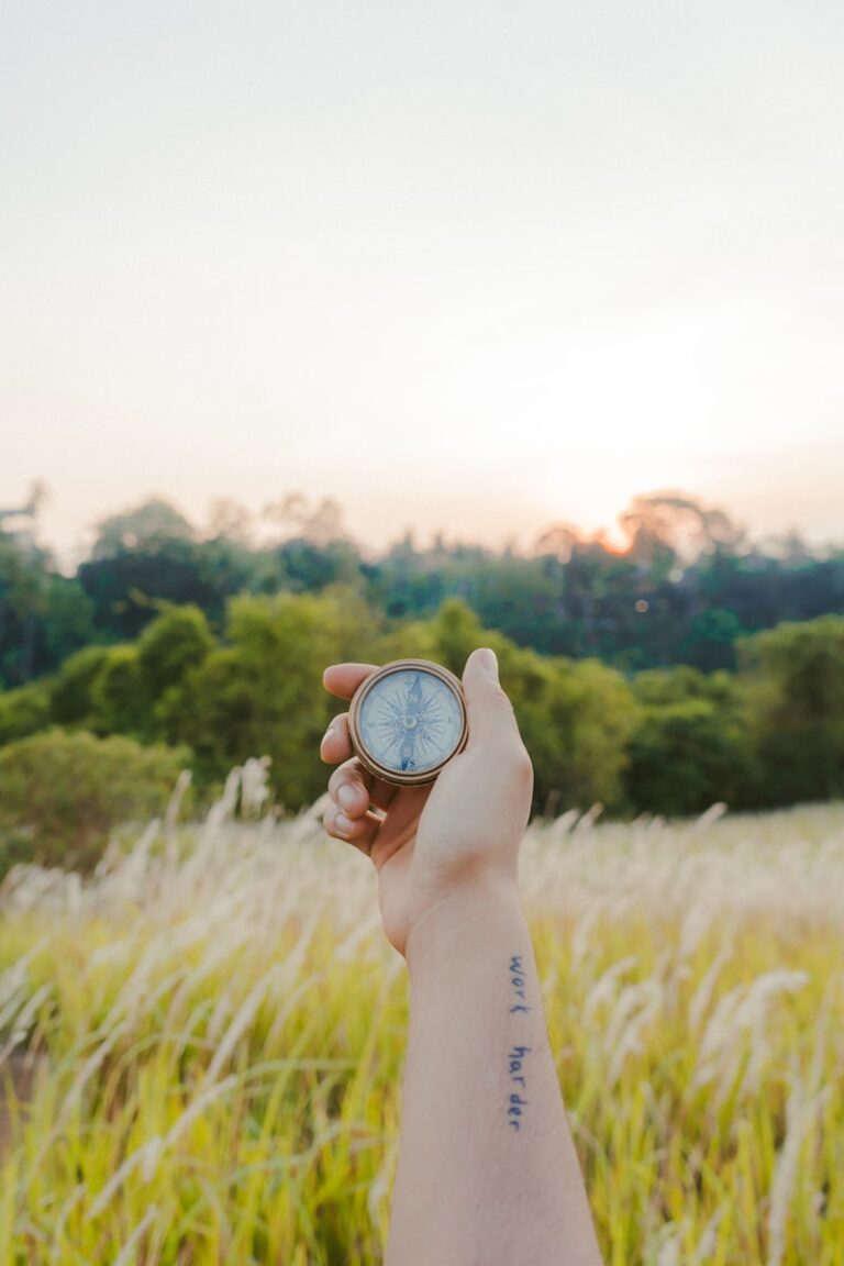 Self-Determination: Master Your Own Inner Compass