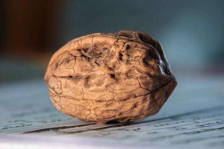 Sensory Perception: How Nutmeg Triggers Memory and Mood