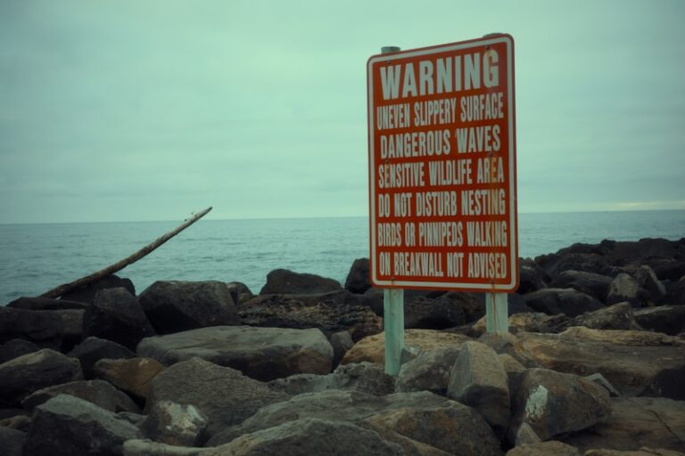 Subdelirious State: Understanding the Subtle Warning Signs