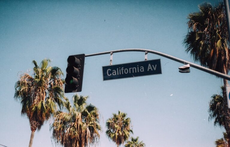 The California Psychological Inventory: Decode Your Potential
