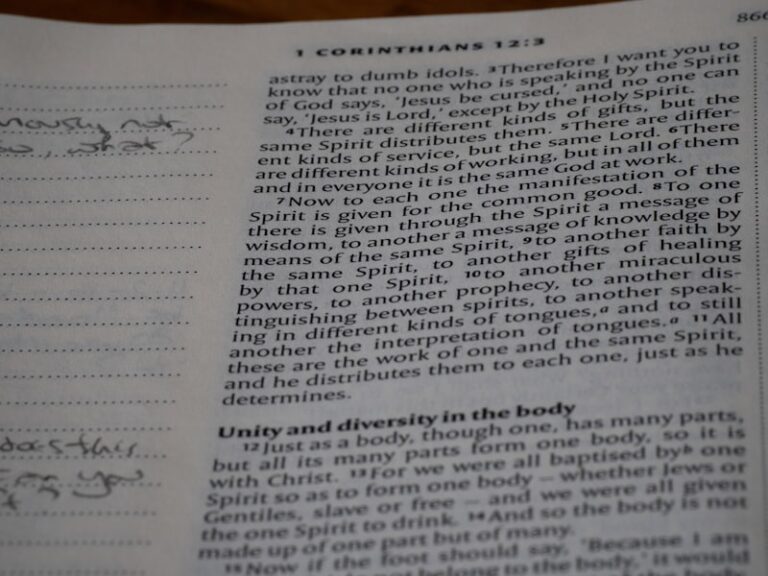 The Conarium: Where Mind Meets Body in Descartes’ Theory