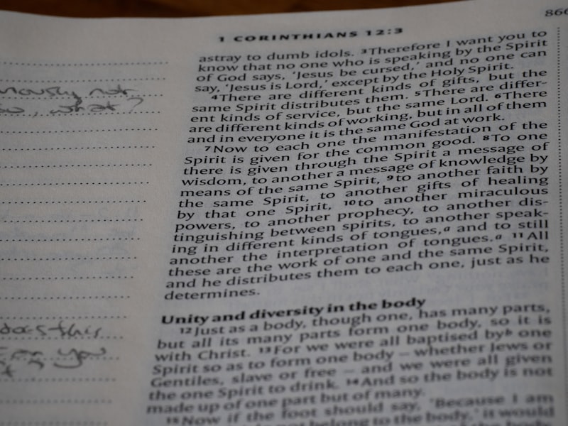 The Conarium: Where Mind Meets Body in Descartes’ Theory