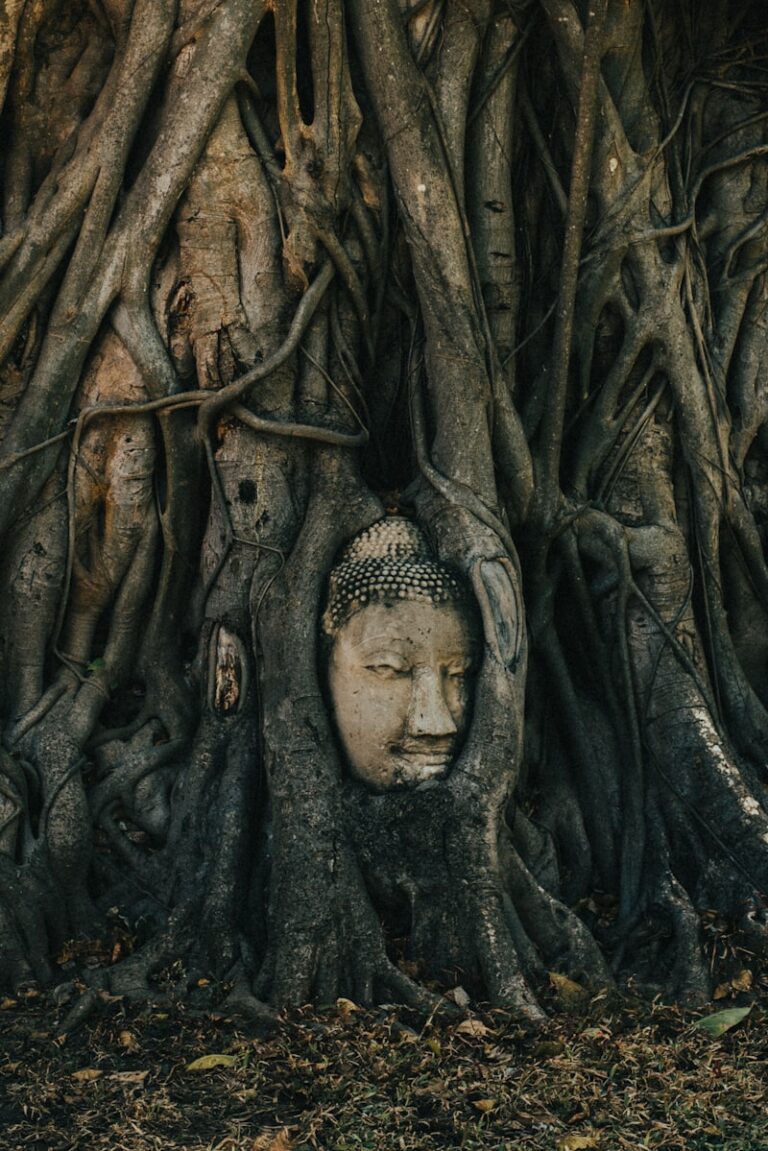 The Suffix Pathy: Decoding the Roots of Human Emotion