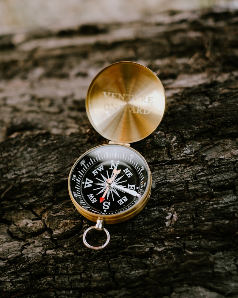 The Superego: Mastering Your Moral Compass