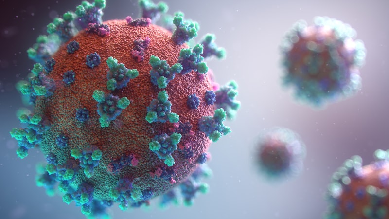 Borna Disease: The Hidden Virus Altering Human Behavior