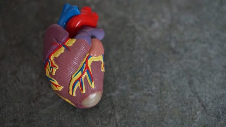 Cardiophobia: Living Beyond the Fear of Heart Failure